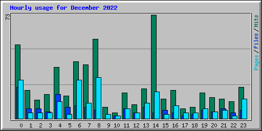 Hourly usage for December 2022